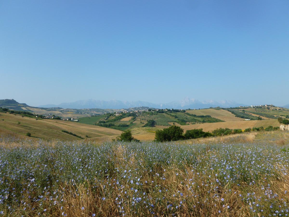 Il Frutteto Bed And Breakfast Ripattone Екстер'єр фото
