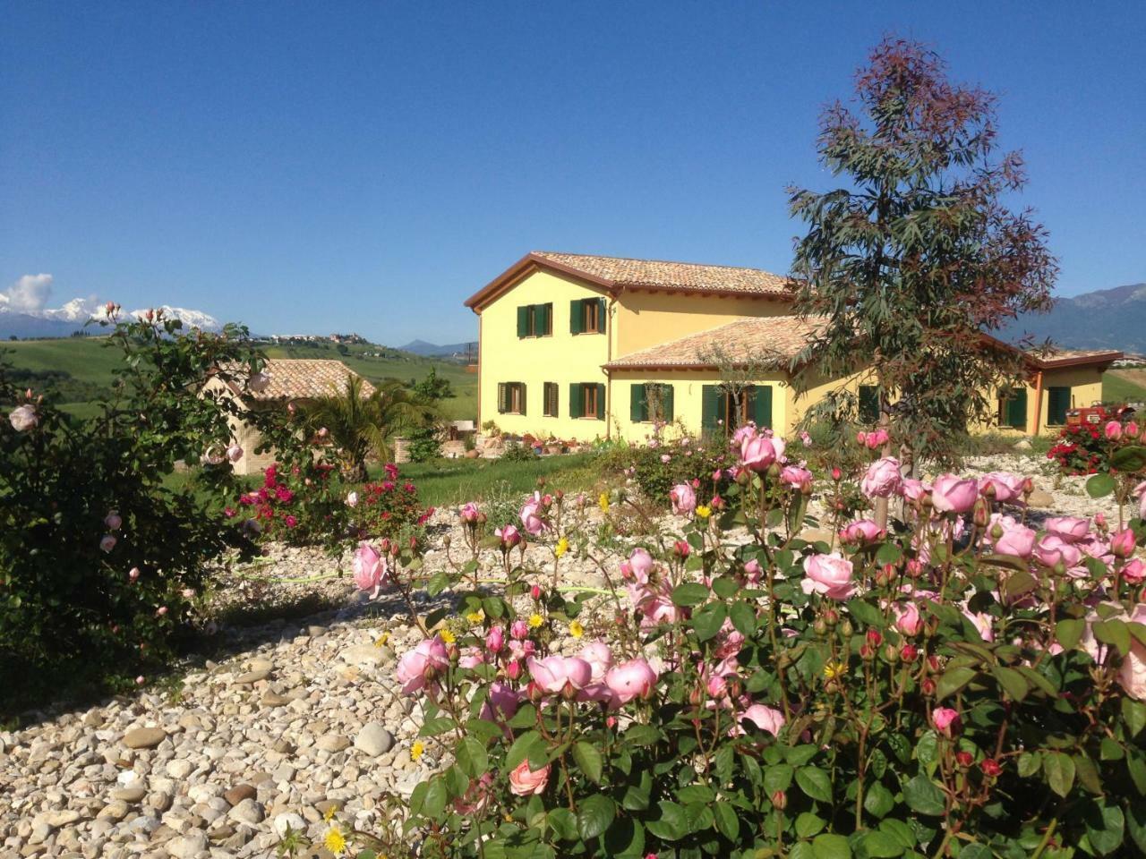 Il Frutteto Bed And Breakfast Ripattone Екстер'єр фото