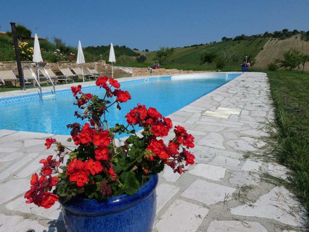 Il Frutteto Bed And Breakfast Ripattone Екстер'єр фото